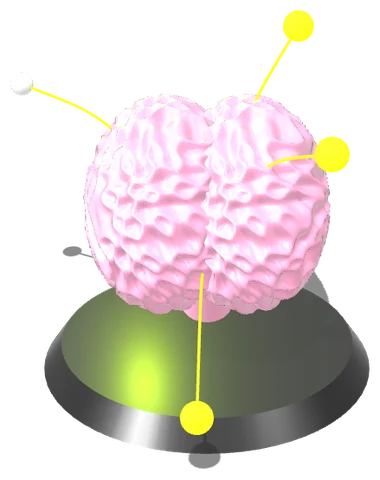 Brain — best experience